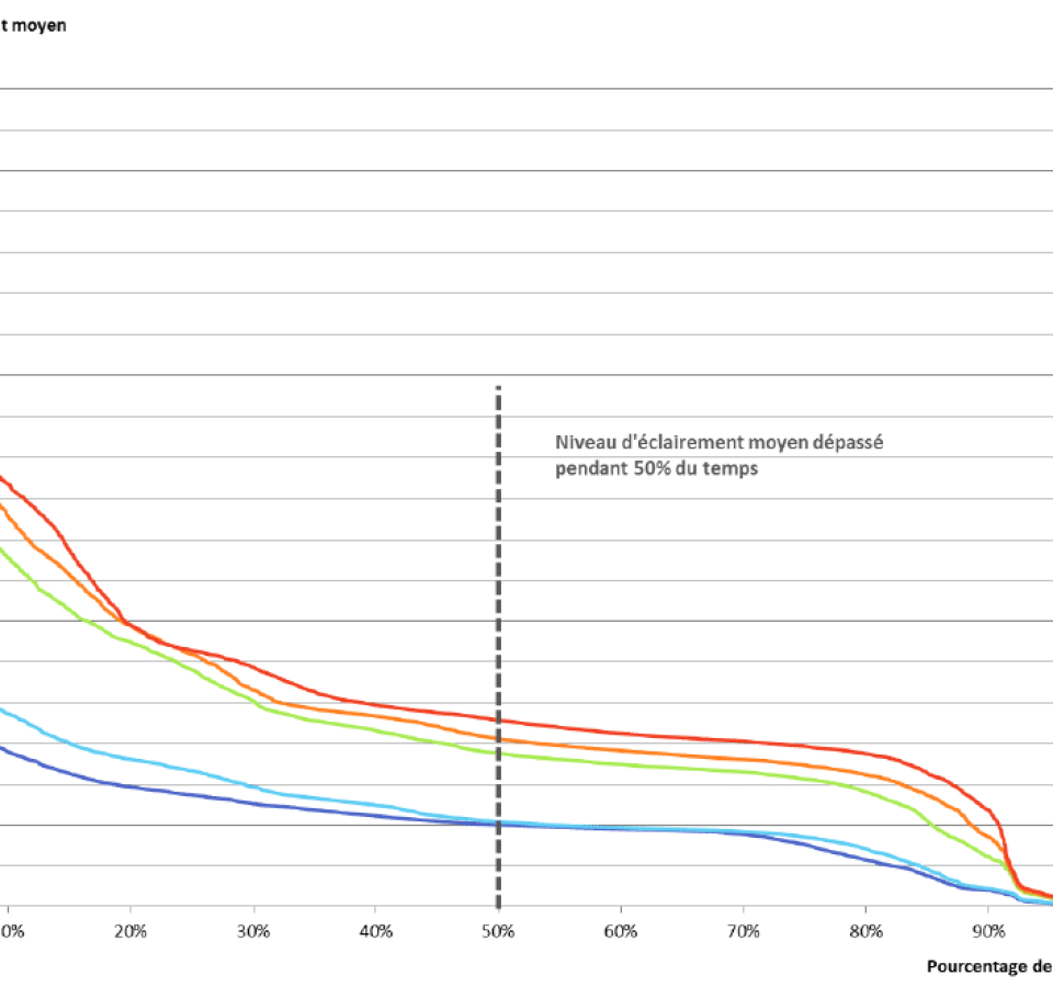 Cheikh Anta Diop - Etude de lumière - Elioth
