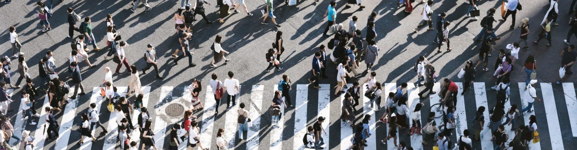 ryoji-iwata-IBaVuZsJJTo-unsplash